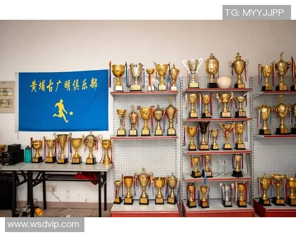 广州足球用品市场分析与发展趋势探讨助力足球爱好者的选择与体验提升